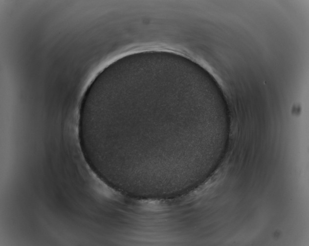 X0000102031508200808081800