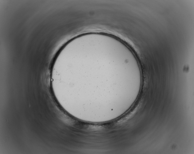 X0000102031509200808081800