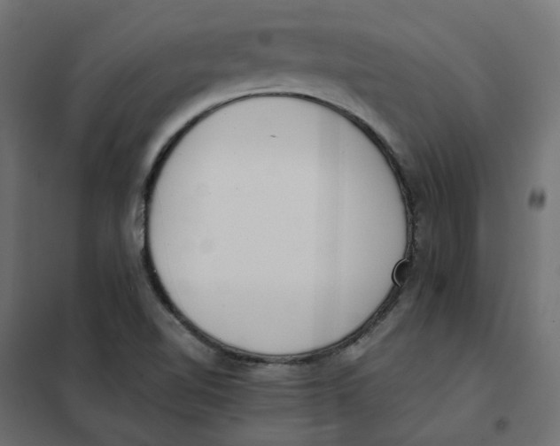 X0000102031510200808081800