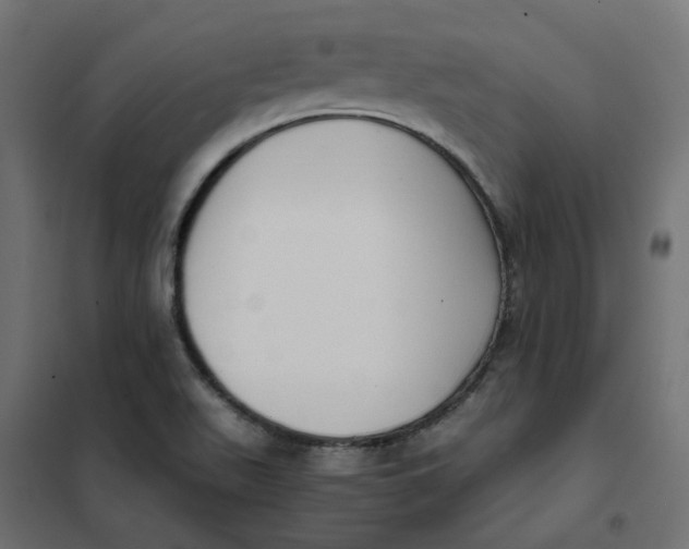 X0000102031511200808081800