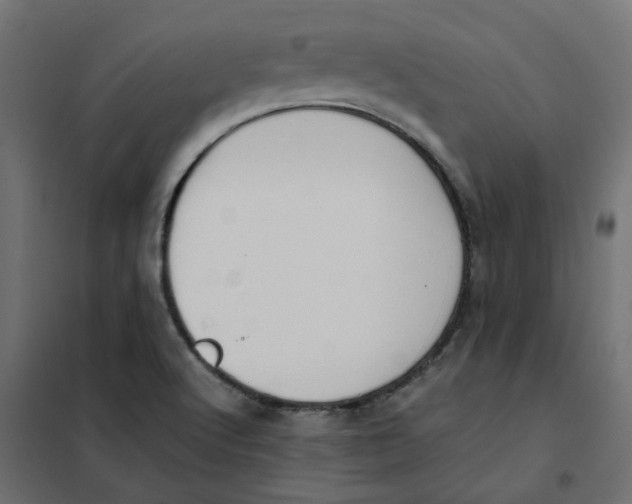 X0000102031512200808081800