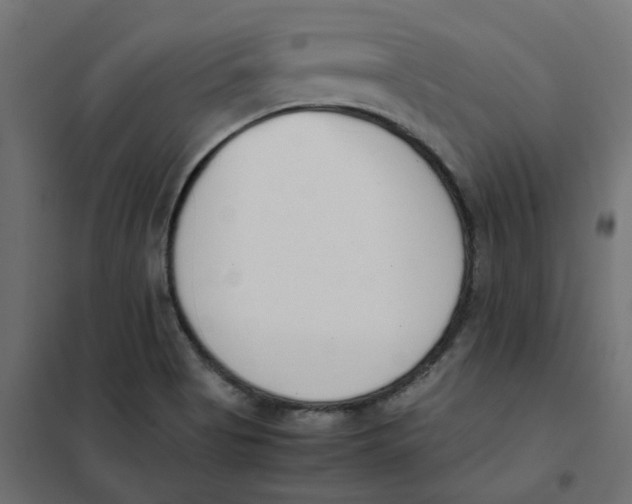 X0000102031513200808081800