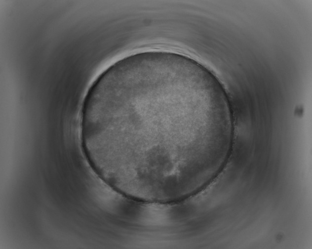 X0000102031514200808081800