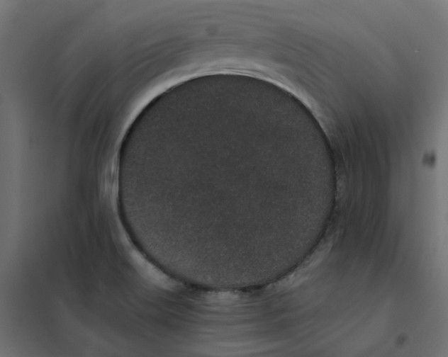 X0000102031515200808081800