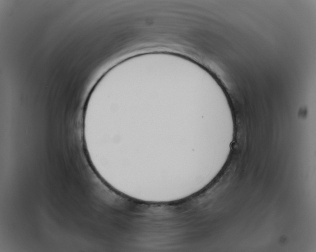 X0000102031516200808081800