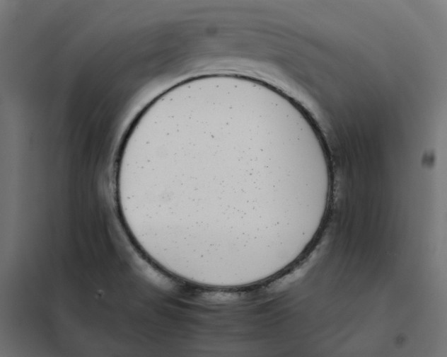 X0000102031517200808081800