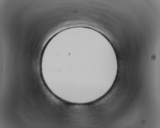 X0000102031518200808081800