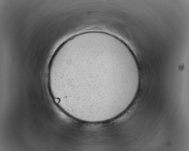 X0000102031519200808081800