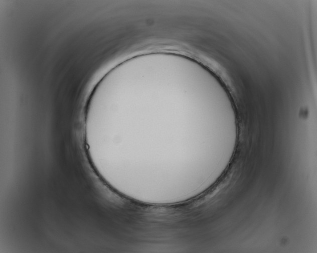 X0000102031520200808081800