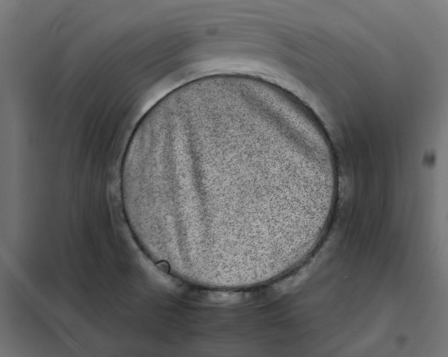 X0000102031521200808081800