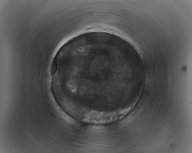 X0000102031522200808081800