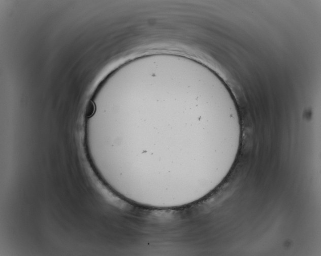 X0000102031523200808081800