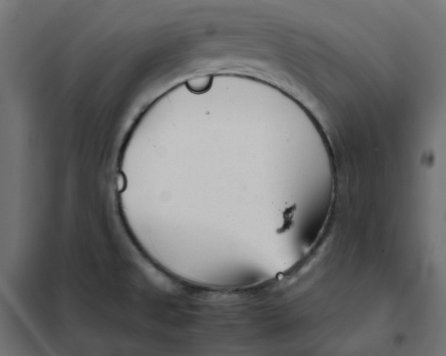 X0000102031525200808081800