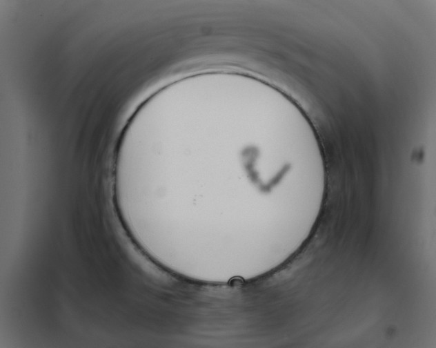 X0000102031526200808081800