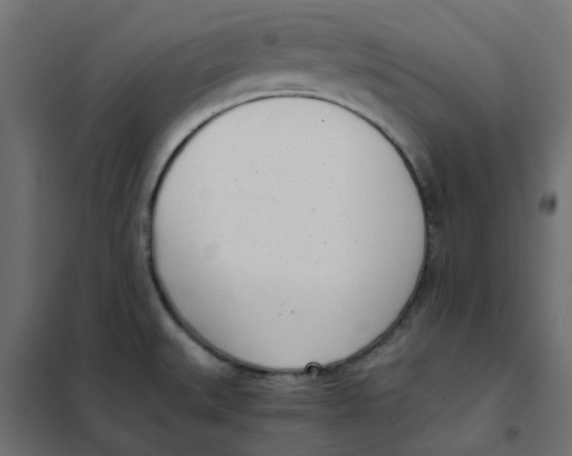 X0000102031527200808081800