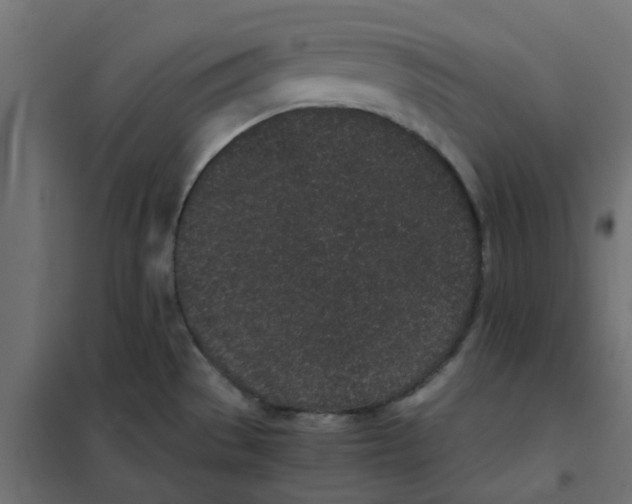 X0000102031529200808081800