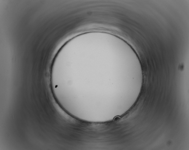 X0000102031531200808081800