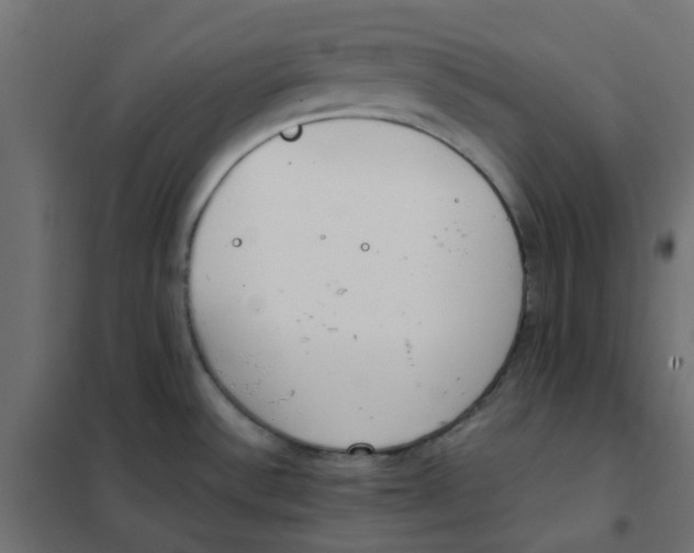 X0000102031532200808081800