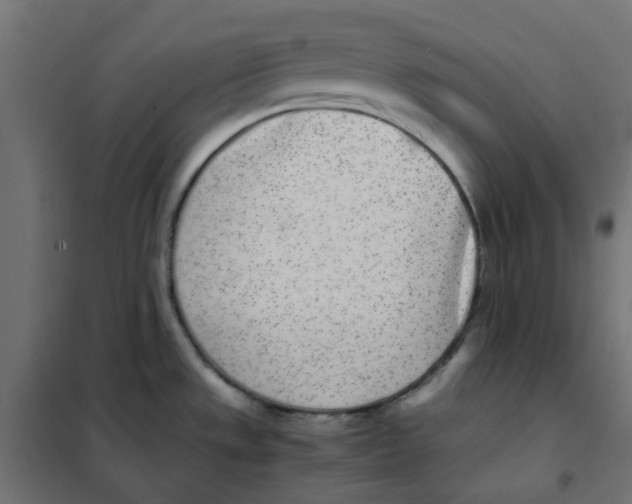 X0000102031533200808081800