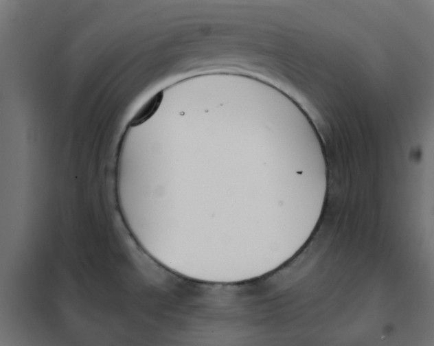 X0000102031534200808081800