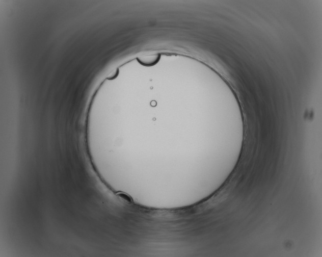 X0000102031536200808081800