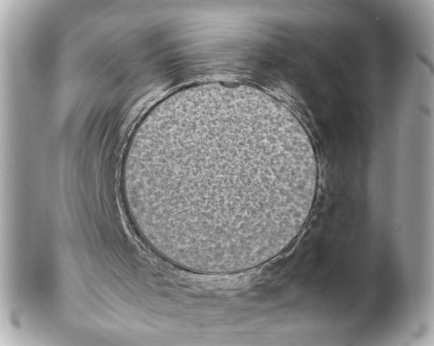 X0000102030001200808151354