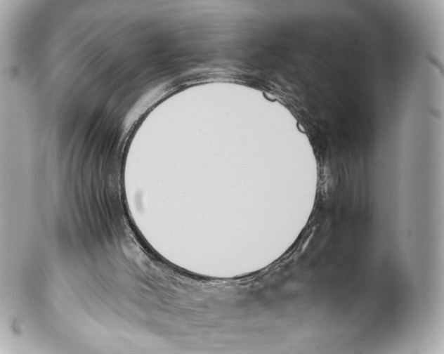 X0000102030004200808151354