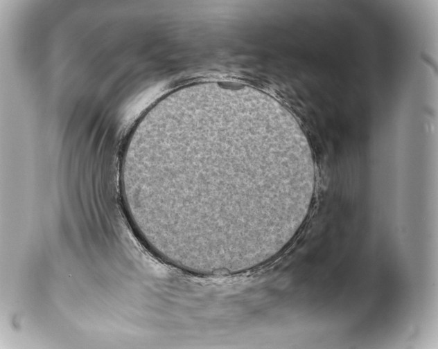 X0000102030005200808151354