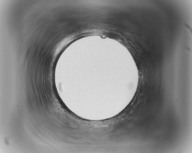 X0000102030006200808151354