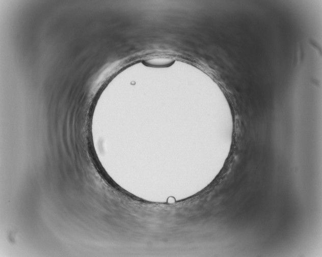 X0000102030007200808151354