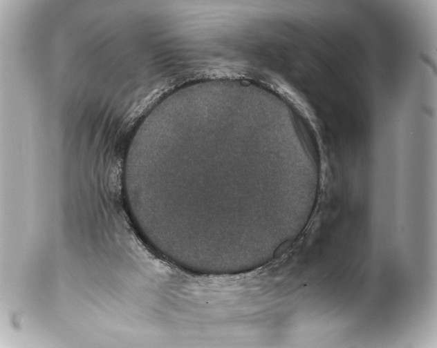 X0000102030009200808151354