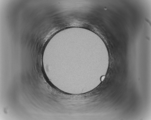 X0000102030011200808151353