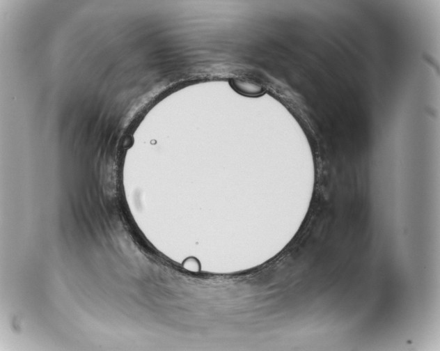 X0000102030012200808151353