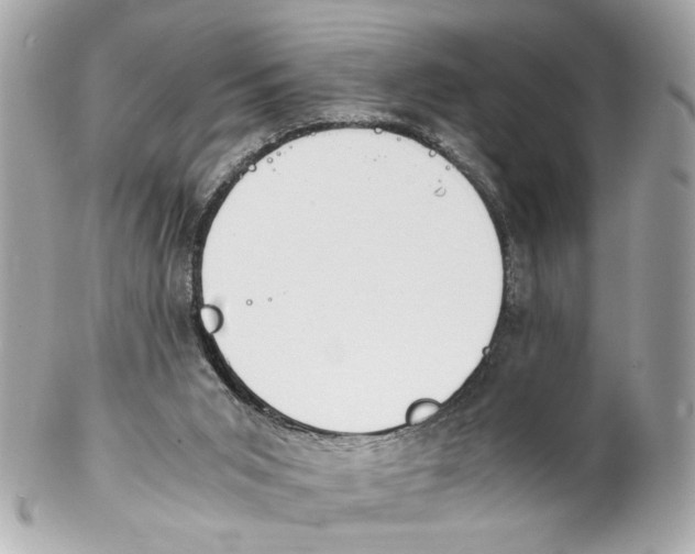 X0000102030015200808151353