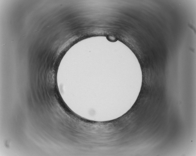 X0000102030016200808151353