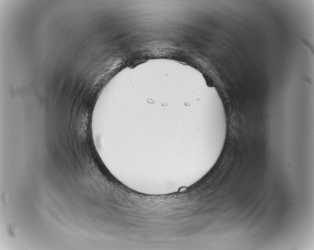 X0000102030018200808151353