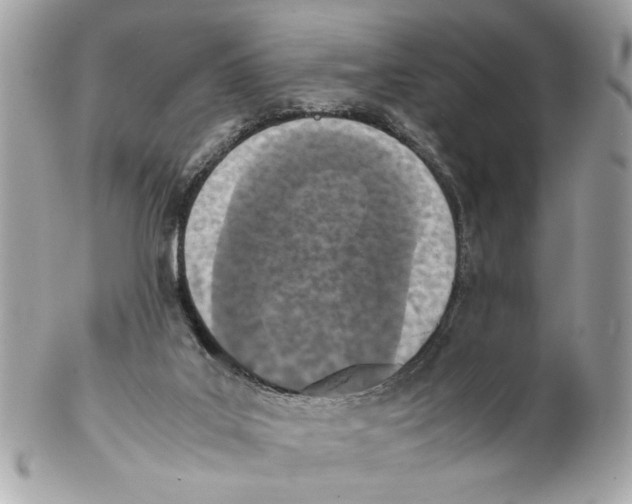 X0000102030019200808151353