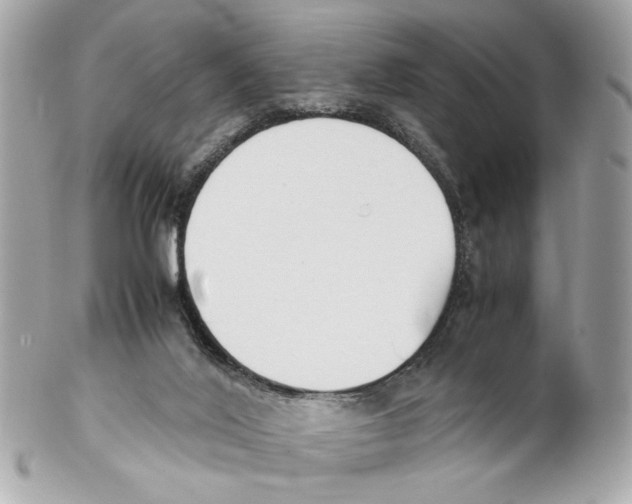 X0000102030020200808151353