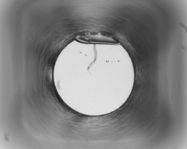 X0000102030021200808151353