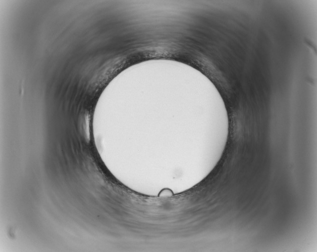 X0000102030022200808151353