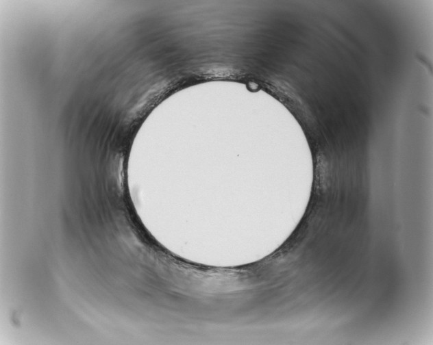 X0000102030024200808151353