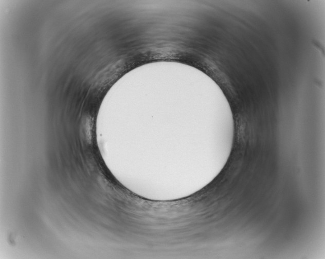 X0000102030026200808151353