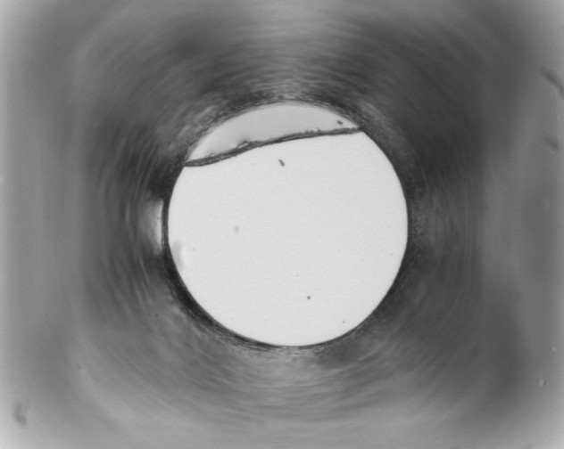 X0000102030028200808151353