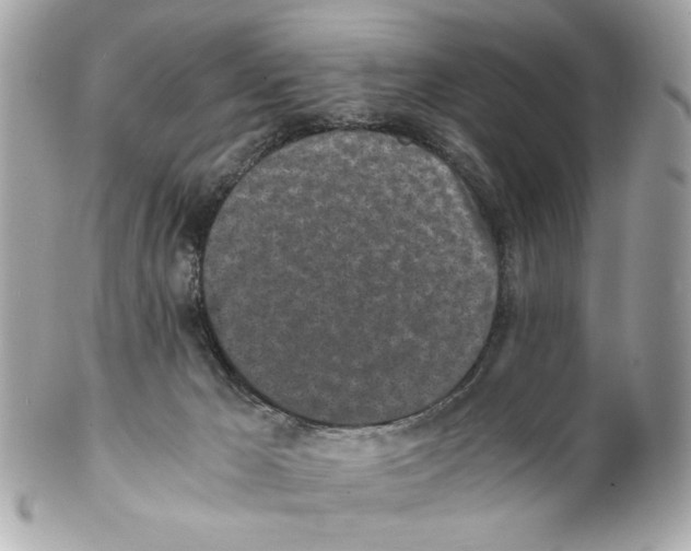 X0000102030029200808151353