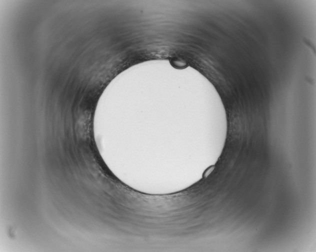 X0000102030030200808151353