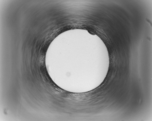 X0000102030033200808151353