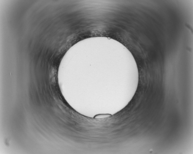 X0000102030038200808151353