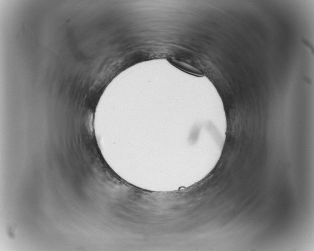 X0000102030041200808151353