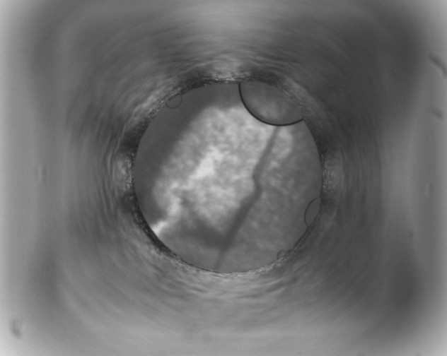 X0000102030043200808151353