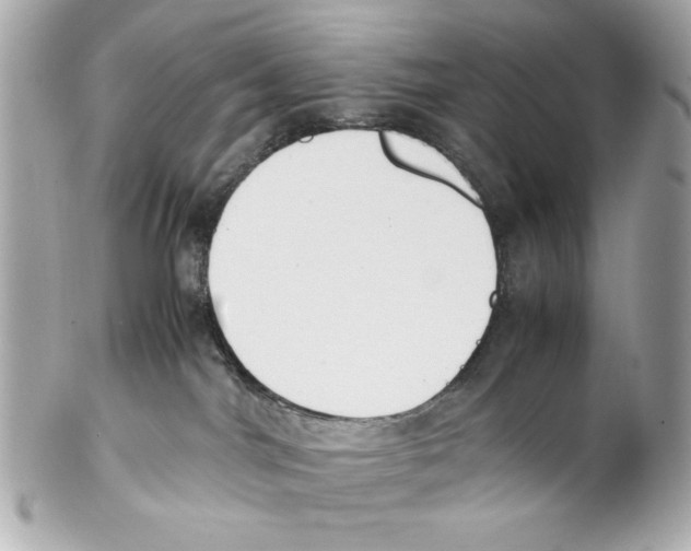 X0000102030044200808151353